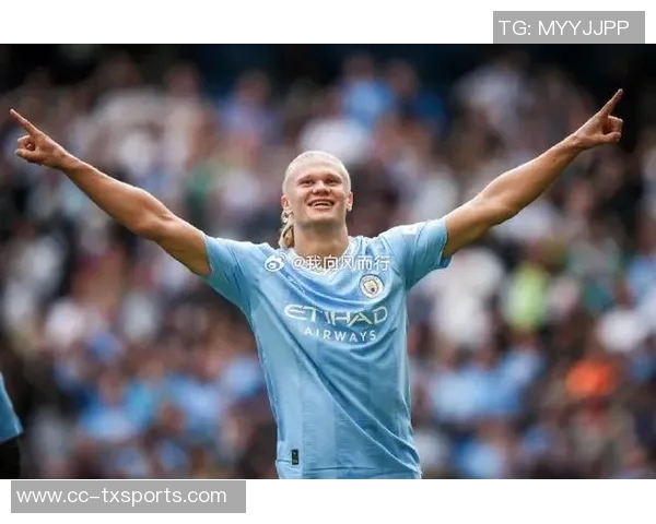 本赛季五大联赛最佳球员次数统计：帕斯凯恩哈兰德并列第一