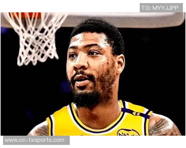 斯玛特谈湖人战袍压力：对手总是全力以赴迎战我们